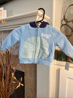 Bluey Light Blue Baby Hoodie